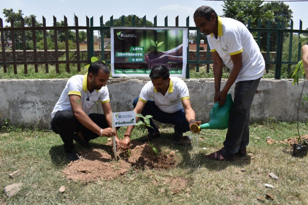 Plantation Drive