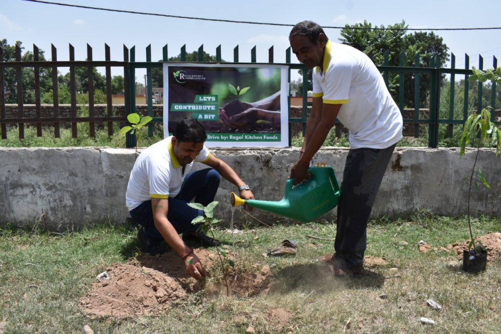 Plantation Drive