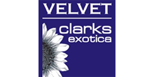 VELVET CLARKS EXOTICA
